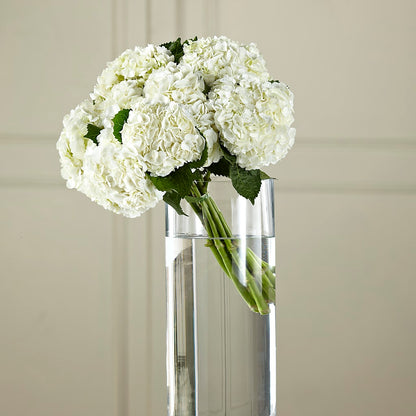 White Hydrangea Hand-Tied Bouquet – WENDT'S FLORIST & GIFTS, Duncansville PA
