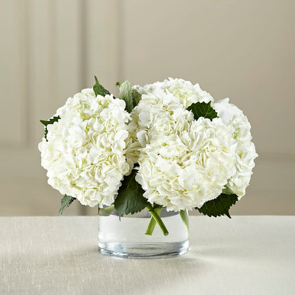 White Hydrangea Bouquet – WENDT'S FLORIST & GIFTS, Duncansville PA