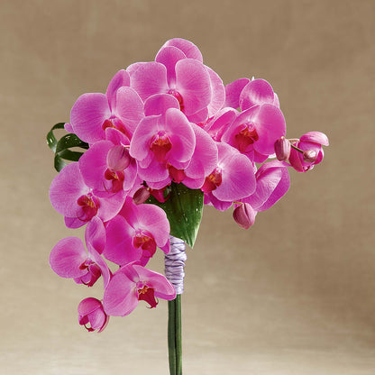 Glorious Bouquet – WENDT'S FLORIST & GIFTS, Duncansville PA