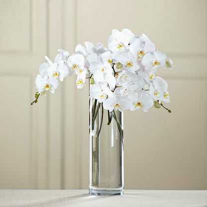 White Phalaenopsis Bouquet – WENDT'S FLORIST & GIFTS, Duncansville PA